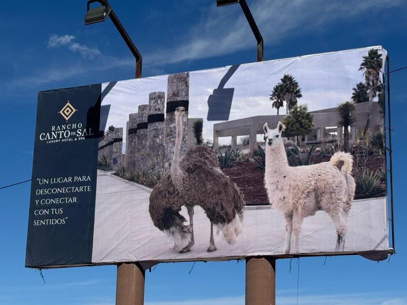 Venta de Terreno en SALINAS HIDALGO (2)