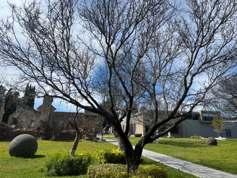 Venta de Terreno en SALINAS HIDALGO (7)