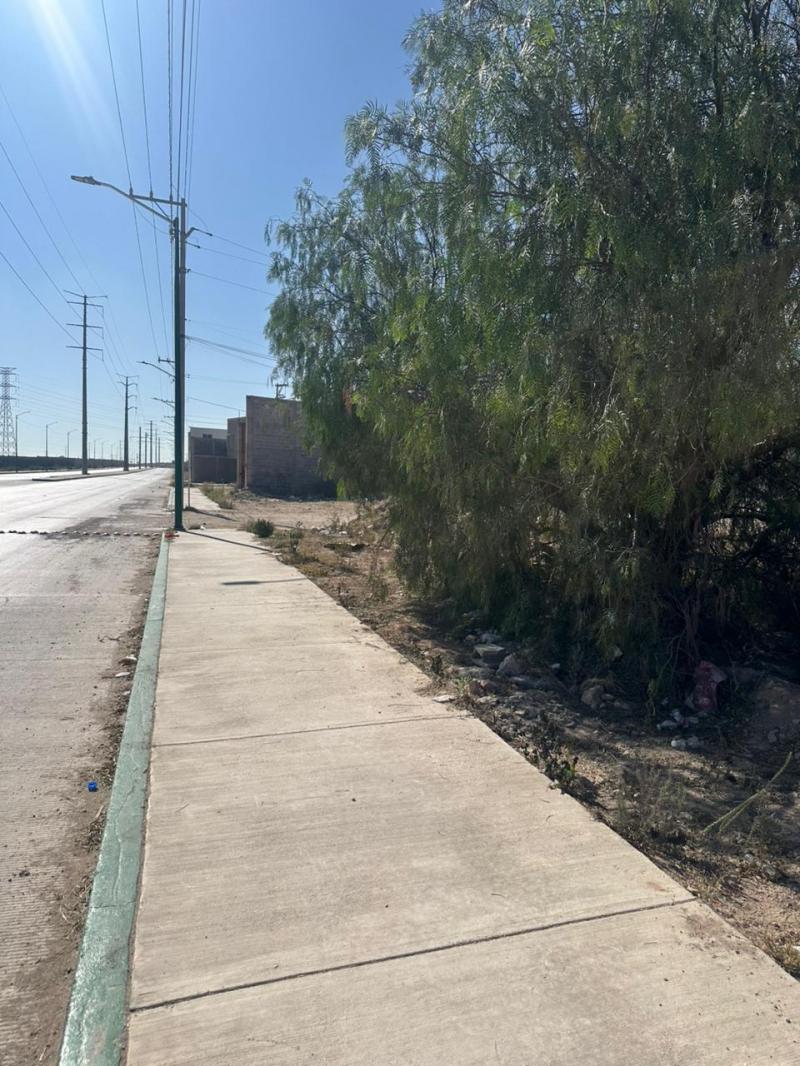 Renta de Terreno en JOYAS DEL AGUAJE (4)