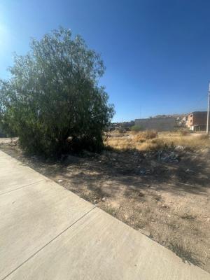 RENTA TERRENO SOBRE PROL AV SALK