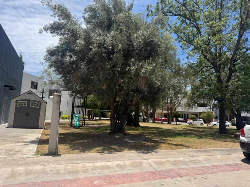 16 de 27