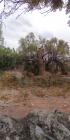 Venta de Terreno  en San Luis Potosi en SATELITE