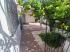 Venta de Casa  en San Luis Potosi en Benito Juárez
