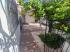 Venta de Casa  en San Luis Potosi en Benito Juárez