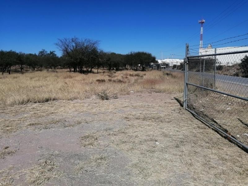 Renta de Terreno  en  en SAN MARCOS CARMONA