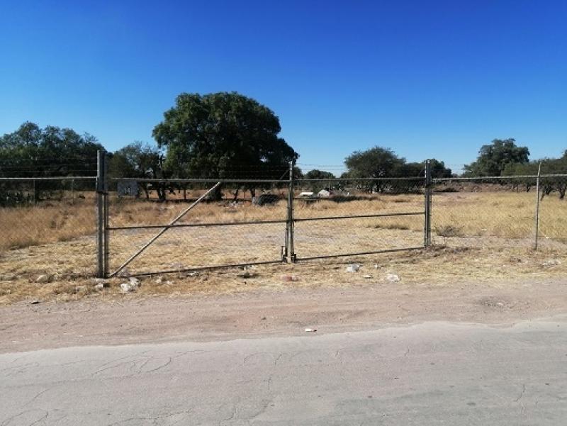 Renta de Terreno  en  en SAN MARCOS CARMONA