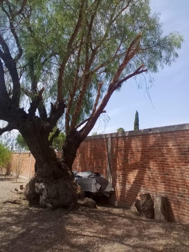 Venta de Terreno  en  en HACIENDA DE GOGORRON