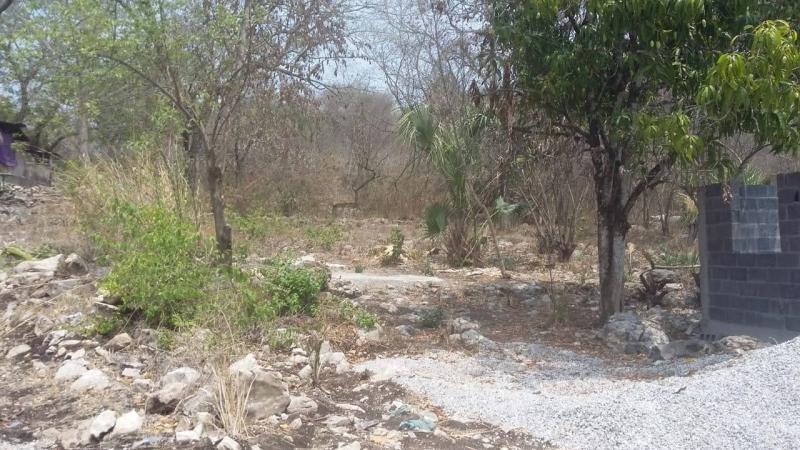 Venta de Terreno  en  en EL SABINITO