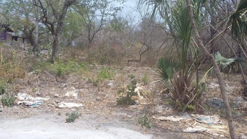 Venta de Terreno  en  en EL SABINITO