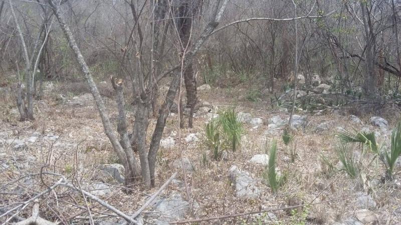 Venta de Terreno  en  en EL SABINITO