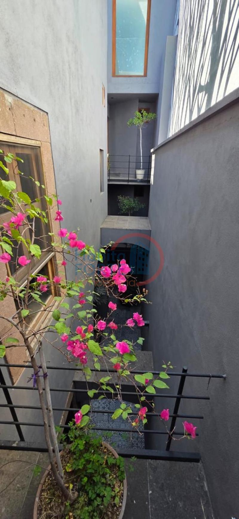 Renta de Casa en SAN LUIS POTOSI, CENTRO