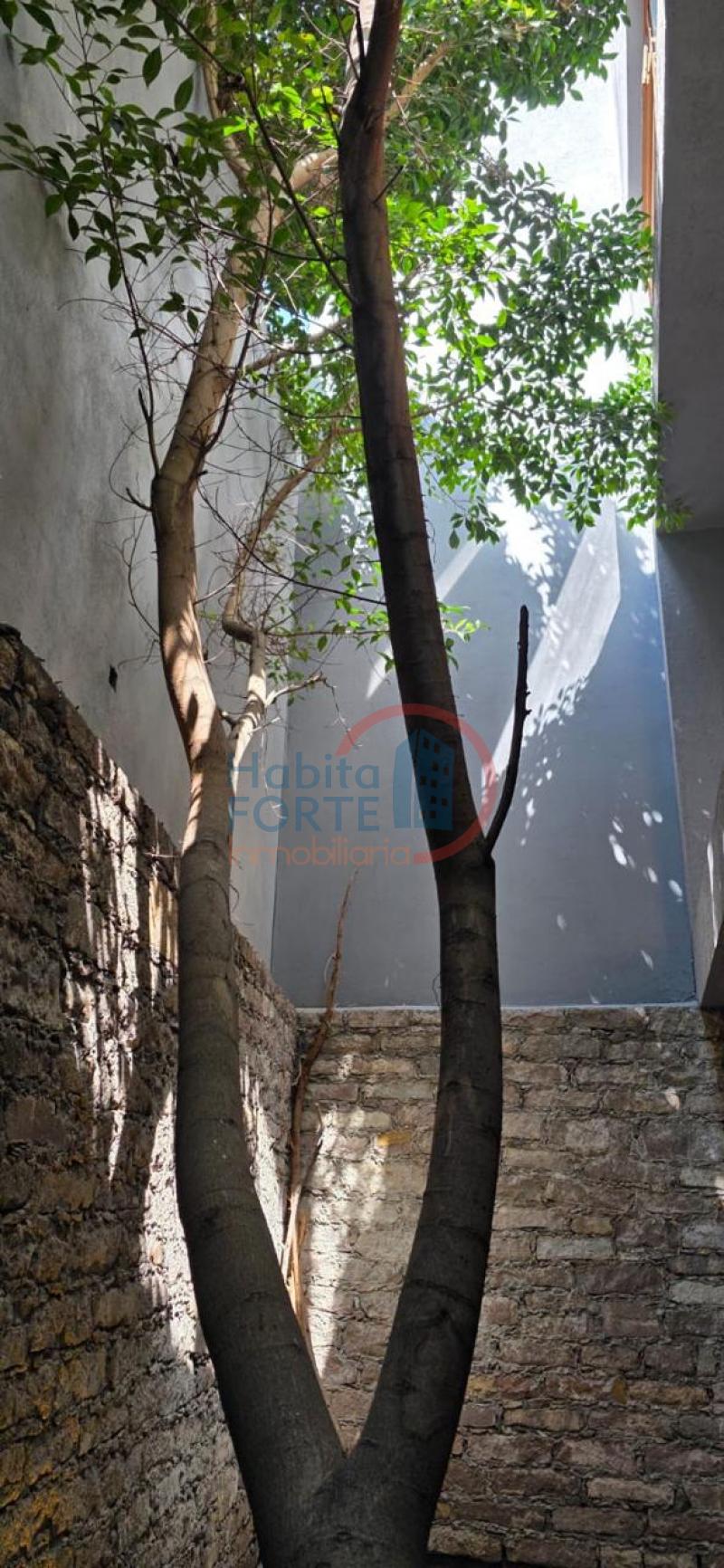 Renta de Casa en SAN LUIS POTOSI, CENTRO