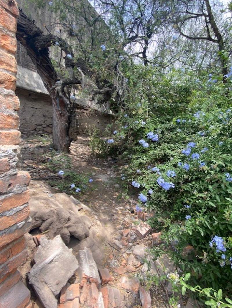 Venta de Terreno  en SAN LUIS POTOSI en BARRIO DE SANTIAGO