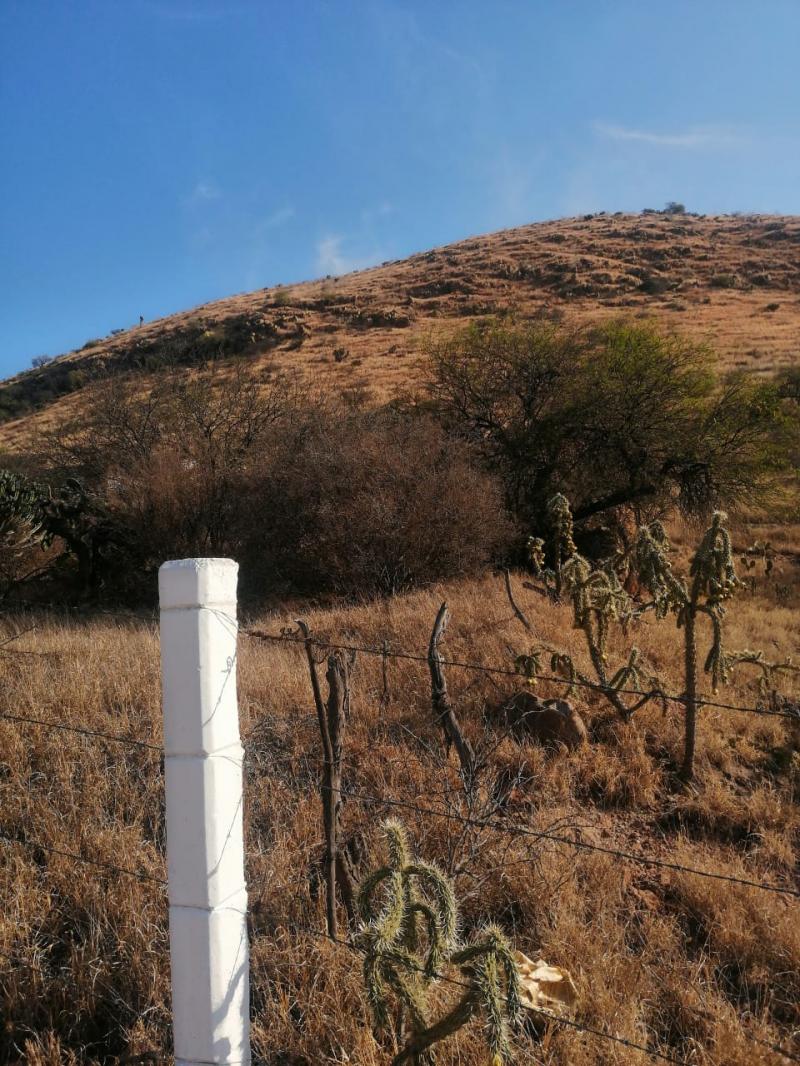 Venta de Terreno  en SANTA MARIA DEL RIO en OJO CALIENTE