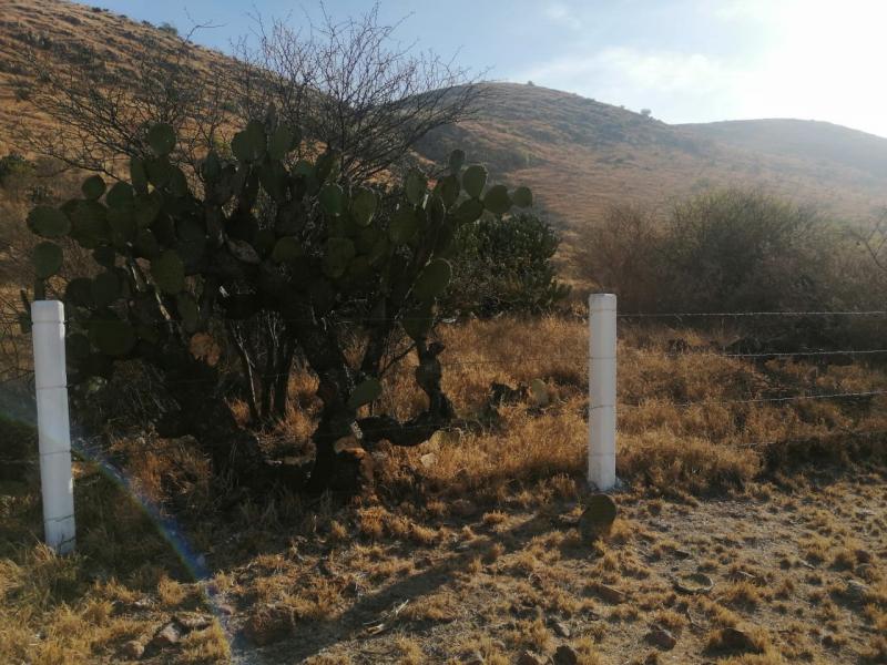 Venta de Terreno  en SANTA MARIA DEL RIO en OJO CALIENTE