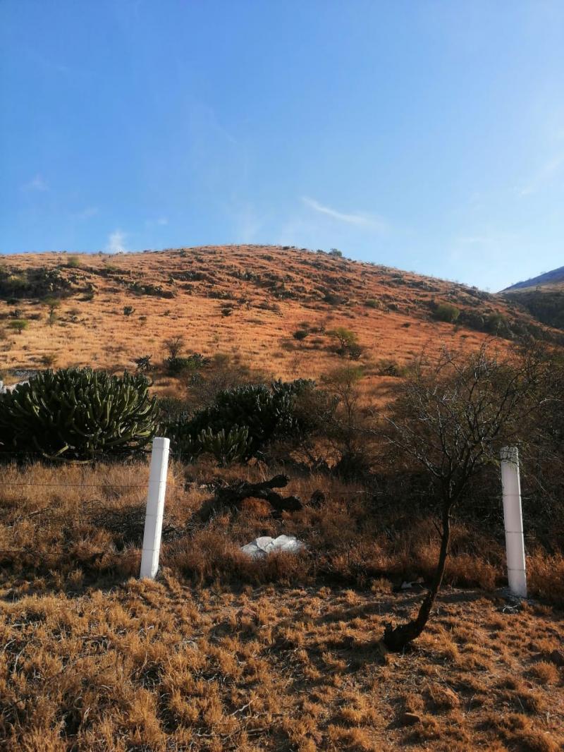 Venta de Terreno  en SANTA MARIA DEL RIO en OJO CALIENTE