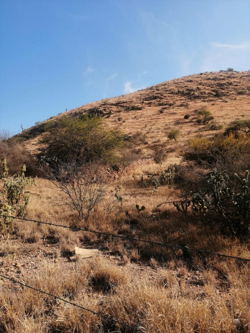 Venta de Terreno  en SANTA MARIA DEL RIO en OJO CALIENTE