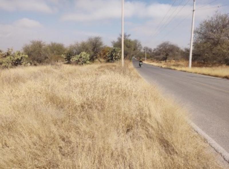 Venta de Terreno  en VILLA DE REYES en VILLA DE REYES