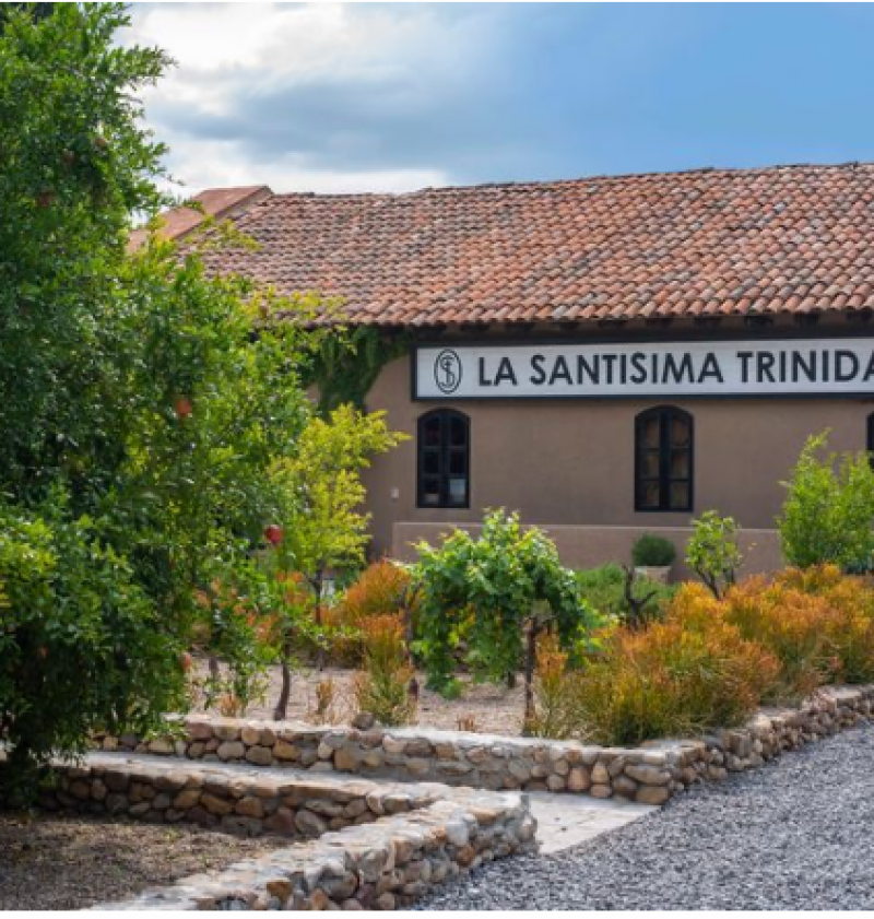 Venta de Terreno  en  en VIÑEDOS LA SANTISIMA TRINIDAD