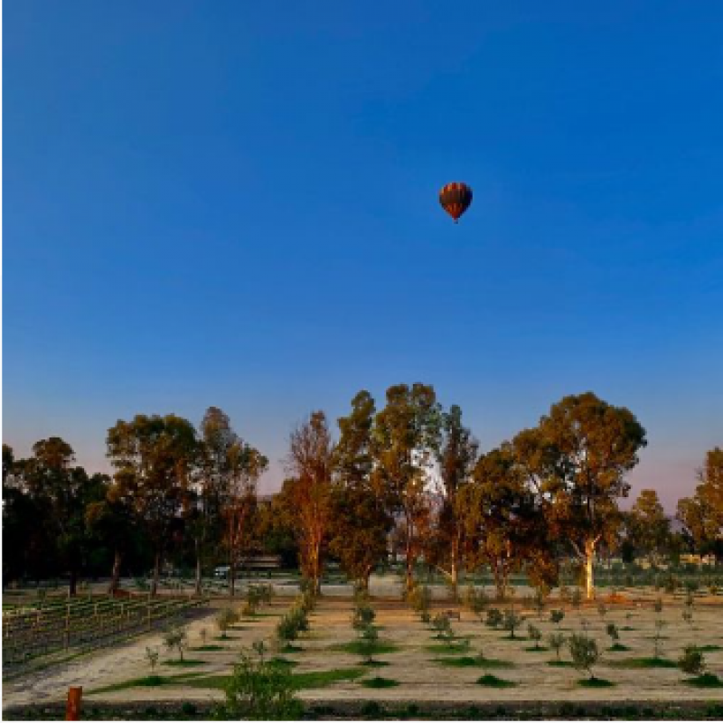 Venta de Terreno  en  en SAN MIGUEL DE ALLENDE