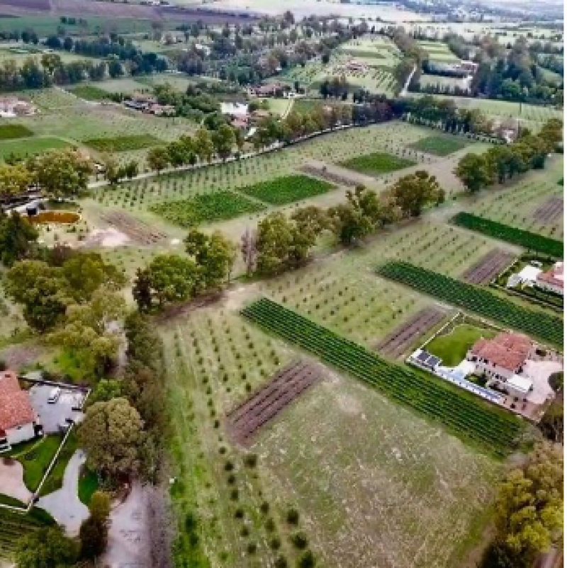 Venta de Terreno  en  en SAN MIGUEL DE ALLENDE