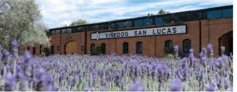 Venta de Terreno  en  en SAN MIGUEL DE ALLENDE