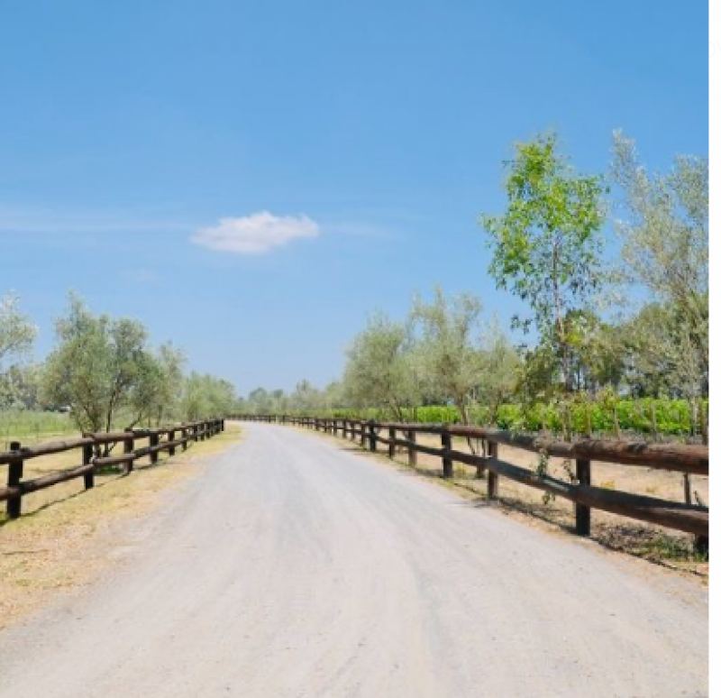 Venta de Terreno  en  en CUMBRES DE SAN MIGUEL