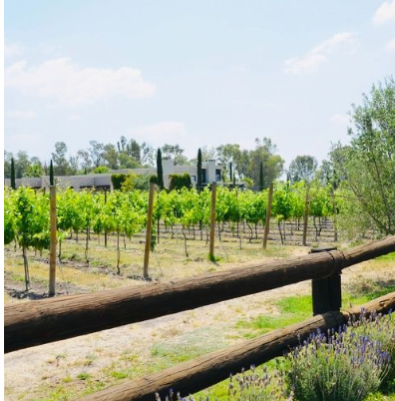 Venta de Terreno  en  en CUMBRES DE SAN MIGUEL