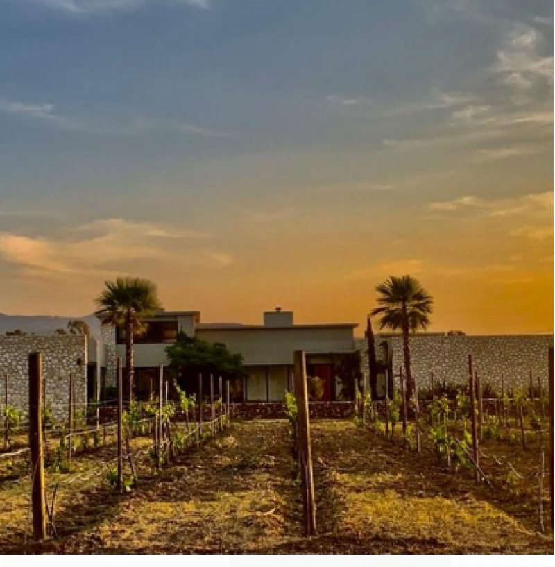 Venta de Terreno  en  en CUMBRES DE SAN MIGUEL