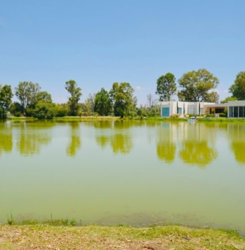 Venta de Terreno  en  en CUMBRES DE SAN MIGUEL