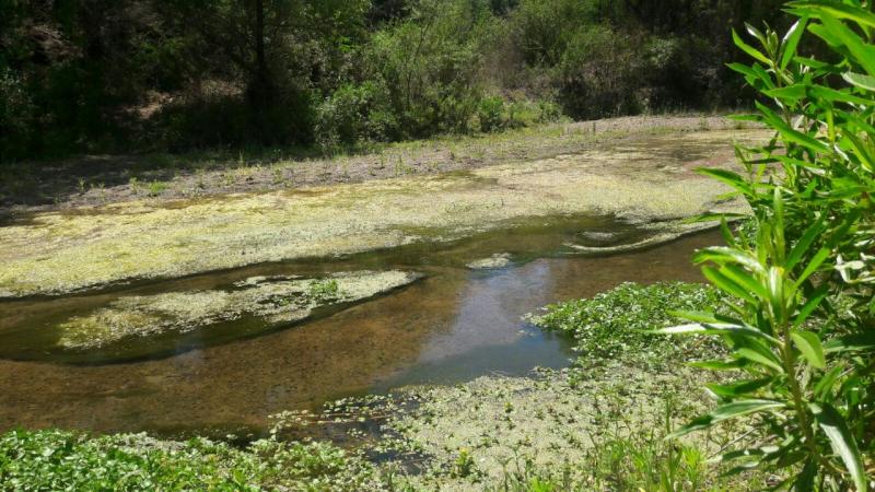 Venta de Terreno  en  en TIERRA QUEMADA