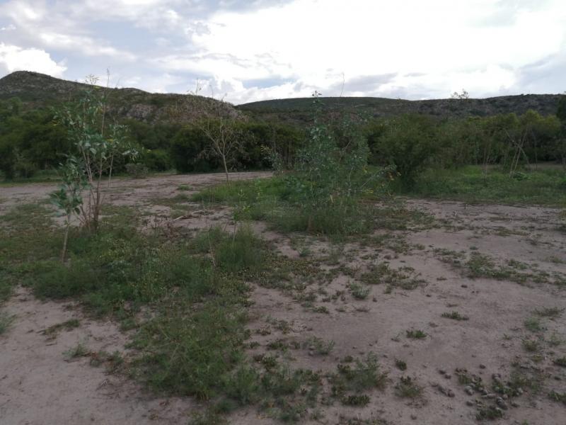 Venta de Terreno  en  en TIERRA QUEMADA