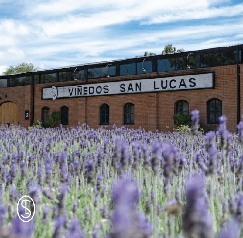 Venta de Casa  en  en VIÑEDOS SAN LUCAS EN SAN MIGUEL DE ALLENDE