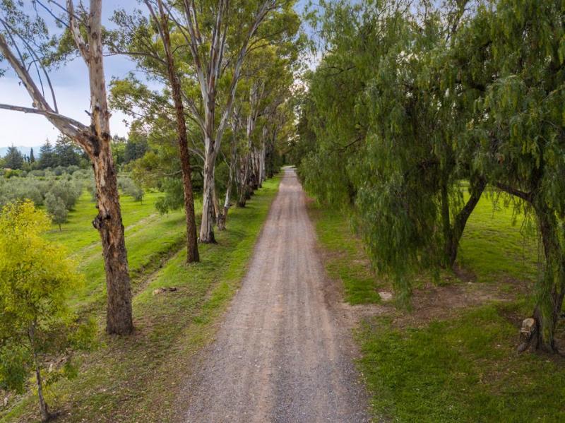 Venta de Terreno  en  en VIÑEDOS LA SANTISIMA TRINIDAD