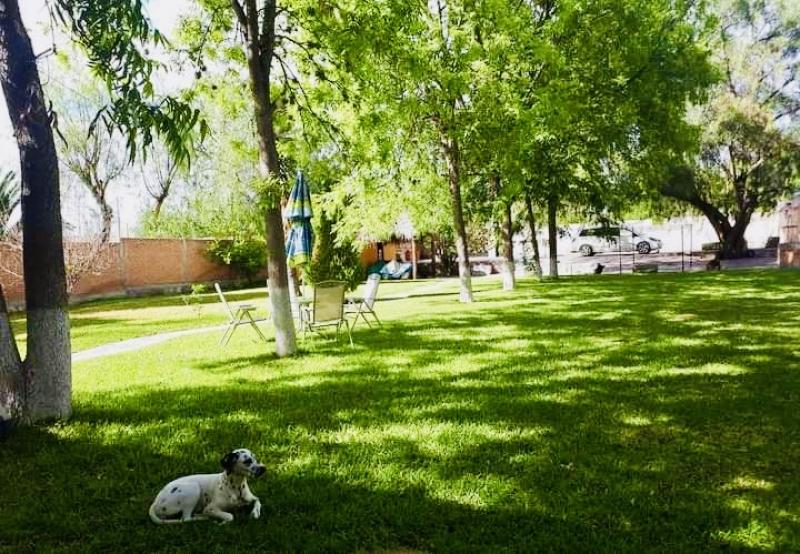 Venta de Casa  en SANTA MARIA DEL RIO en OJO CALIENTE