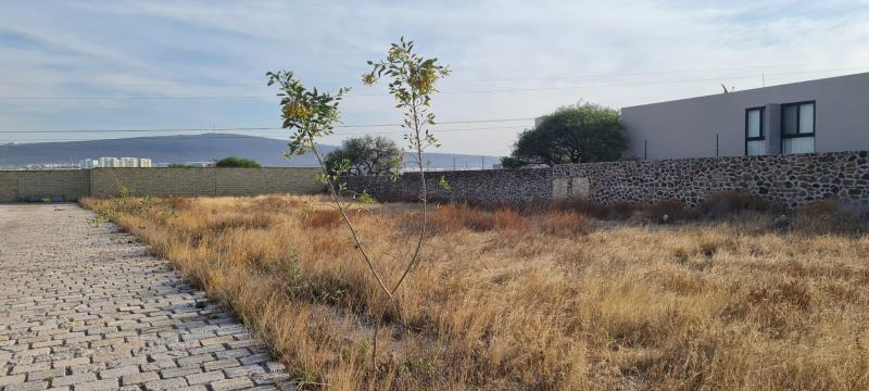 Venta de Terreno  en  en FUENTES RESIDENCIAL DEL CAMPANARIO NORTE