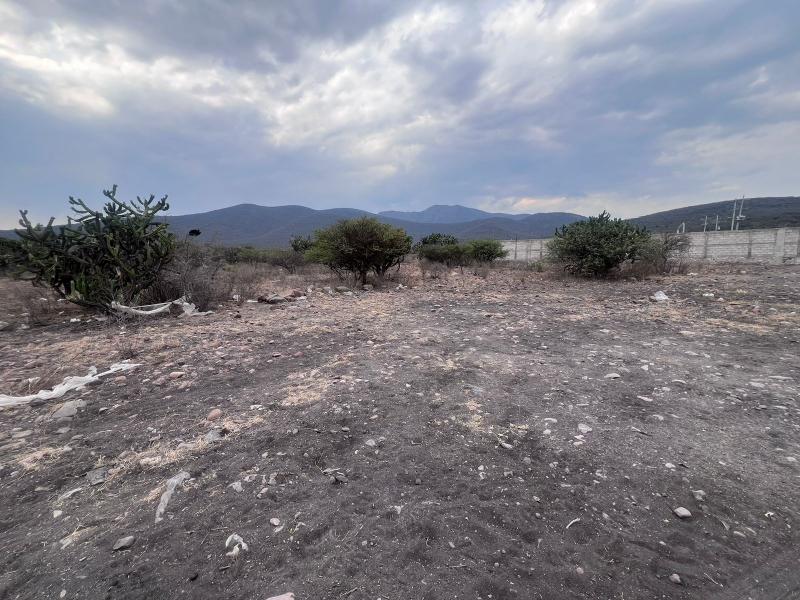 Venta de Terreno  en  en TIERRA BLANCA EL MARQUES