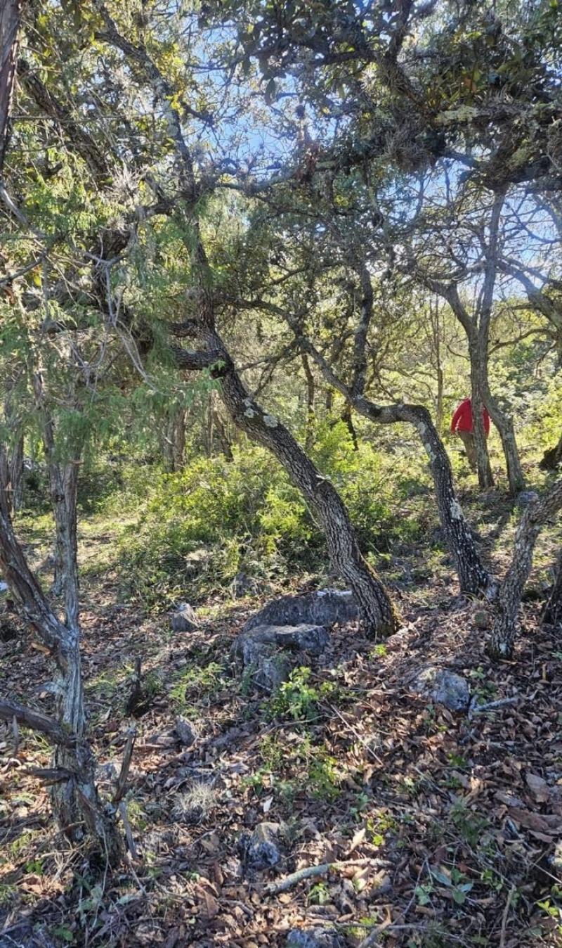 Venta de Terreno  en  en VILLA DE ZARAGOZA