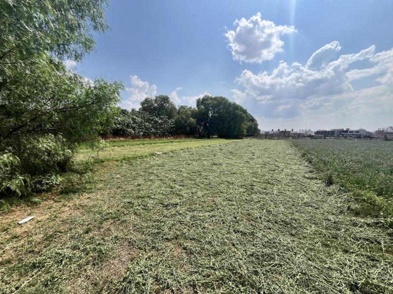 Venta de Terreno  en SOLEDAD DE GRACIANO SANCHEZ en SOLEDAD DE GRACIANO SANCHEZ