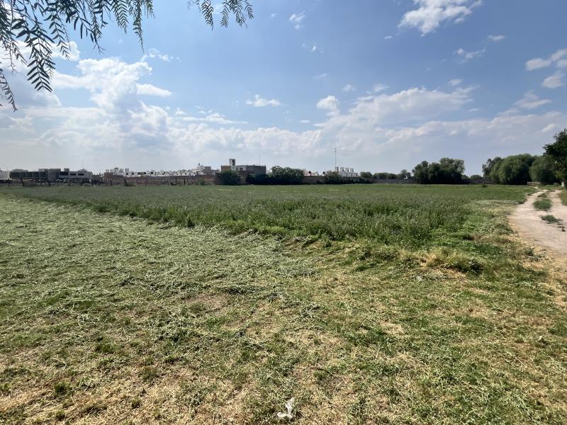 Venta de Terreno  en SOLEDAD DE GRACIANO SANCHEZ en SOLEDAD DE GRACIANO SANCHEZ