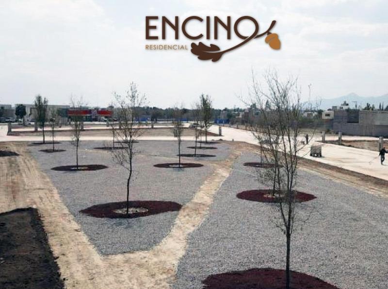 Venta de Terreno  en  en ENCINO RESIDENCIAL, VILLA DE POZOS