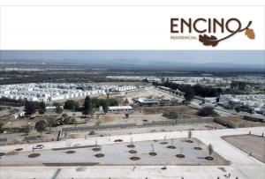 Venta de Terreno en ENCINO RESIDENCIAL, VILLA DE POZOS