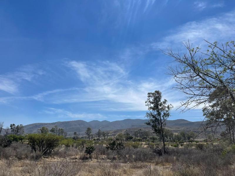 Venta de Terreno  en SAN MIGUEL DE ALLENDE en SAN MIGUEL DE ALLENDE