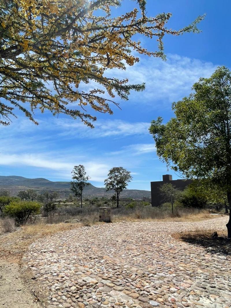 Venta de Terreno  en SAN MIGUEL DE ALLENDE en SAN MIGUEL DE ALLENDE