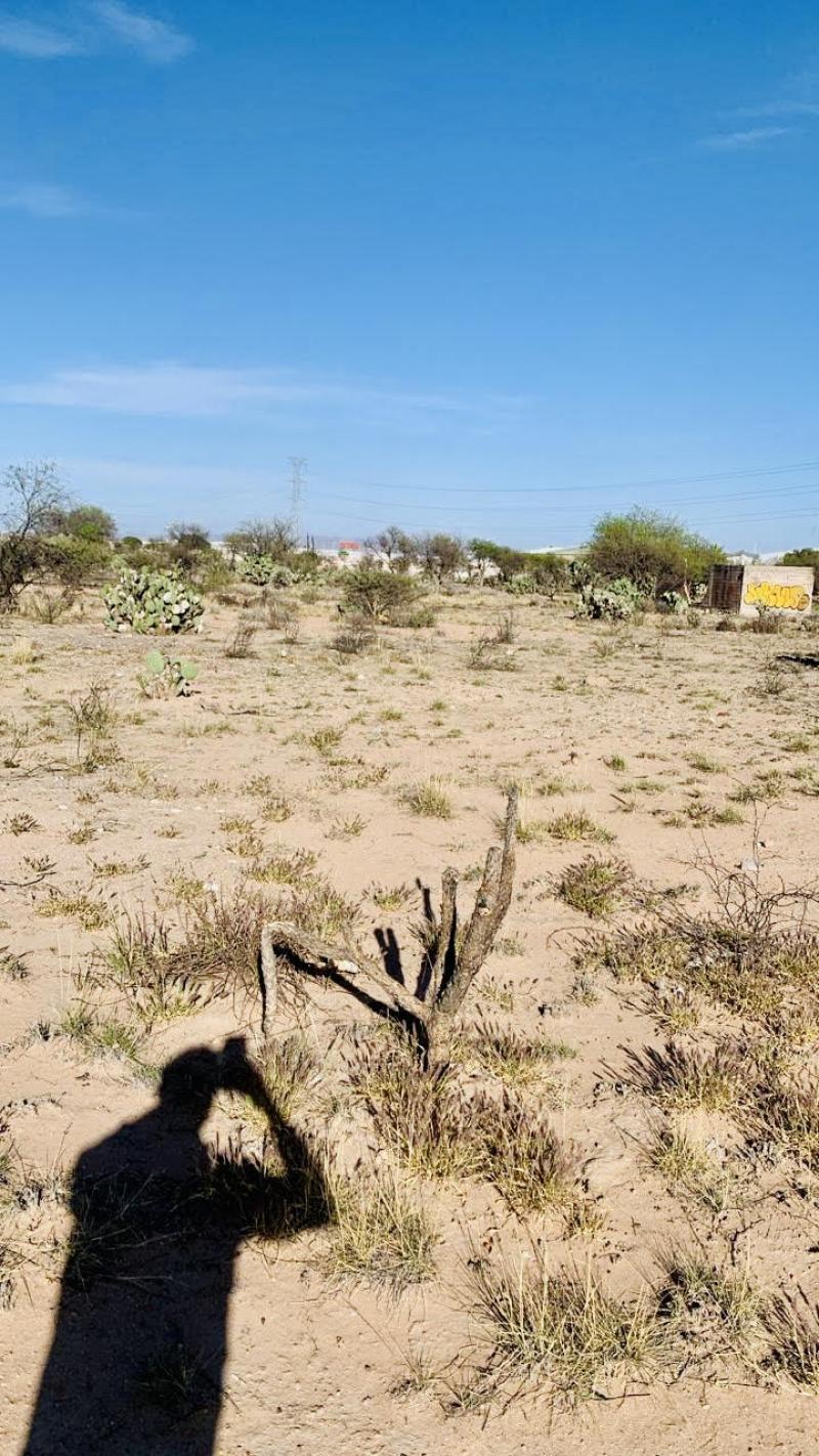 Venta de Terreno  en SAN LUIS POTOSI en MEZQUITAL