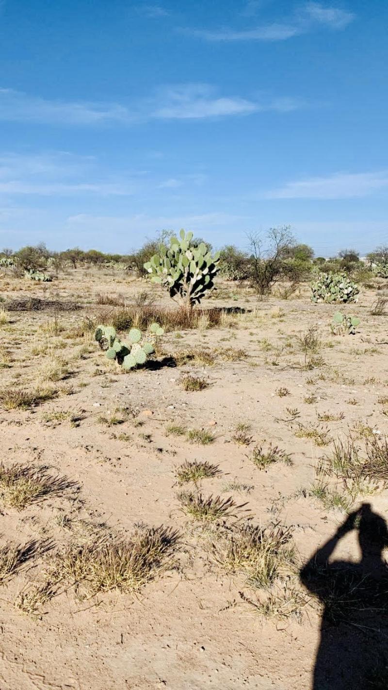 Venta de Terreno  en SAN LUIS POTOSI en MEZQUITAL