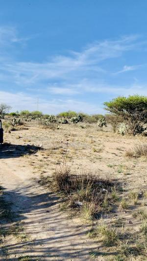 Venta de Terreno en MEZQUITAL