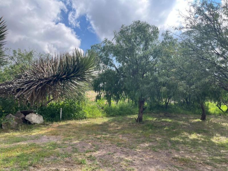 Venta de Terreno  en SAN LUIS POTOSI en LA LOMA DE GOLF