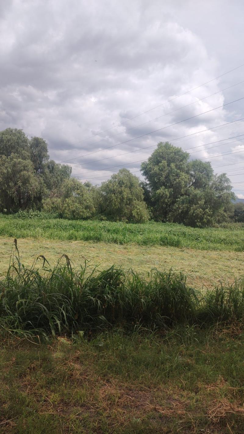 Venta de Rancho  en VILLA DE REYES en VILLA DE REYES