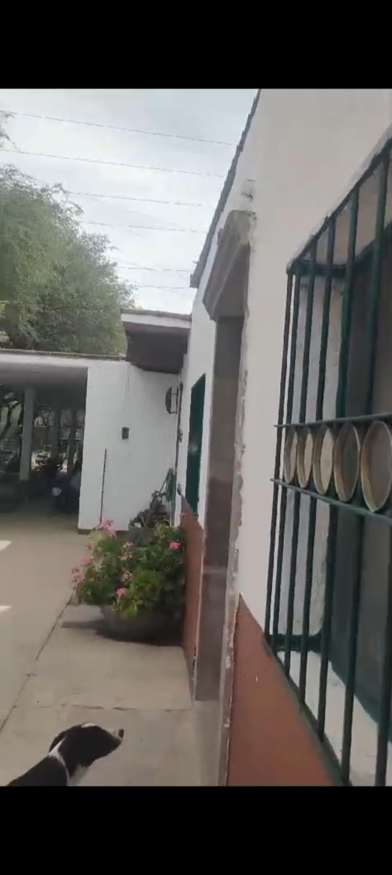 Venta de Rancho  en VILLA DE REYES en VILLA DE REYES